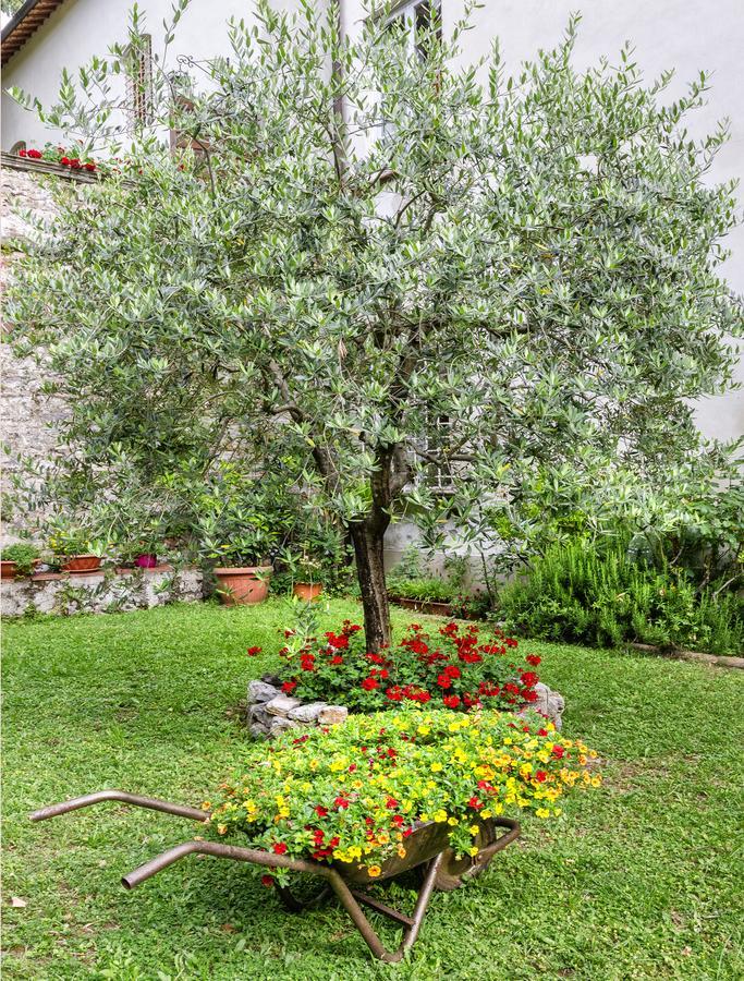Aparthotel Antico seminario Casa Diocesana Lucca Esterno foto